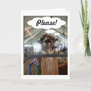 CARTES POUR FÊTES ANNUELLES LAMA DIT : "S'IL VOUS PLAÎT, DITES QUE VOUS M'AIME