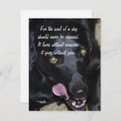 Cartes Pour Fêtes Annuelles L'âme d'un chien - Black Lab (Devant / Derrière)