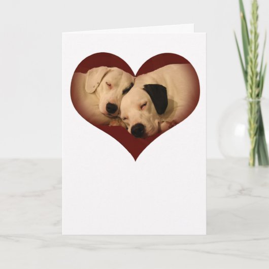 Cartes Pour Fêtes Annuelles L'amour des chiots (Devant)