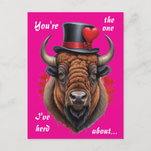 Cartes Pour Fêtes Annuelles L'amour du bison avec un sens sauvage de l'Humour