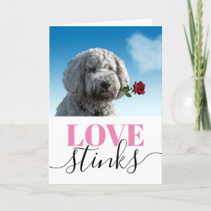 Cartes Pour Fêtes Annuelles L'amour pue Photo drôle de la Saint-Valentin
