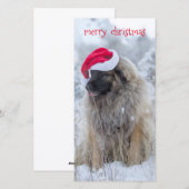 Cartes Pour Fêtes Annuelles langue Leonberger (Devant / Derrière)