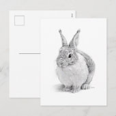 Cartes Pour Fêtes Annuelles Lapin (Devant / Derrière)