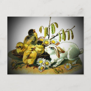 Cartes Pour Fêtes Annuelles Lapin blanc vintage de Pâques et poussins bébé, ZS