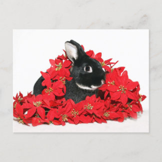Cartes Pour Fêtes Annuelles lapin de Noël
