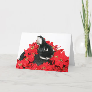 Cartes Pour Fêtes Annuelles lapin de Noël