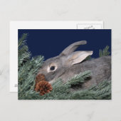 Cartes Pour Fêtes Annuelles lapin de Noël (Devant / Derrière)