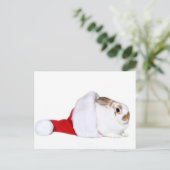 Cartes Pour Fêtes Annuelles Lapin de Noël (Debout devant)