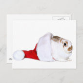 Cartes Pour Fêtes Annuelles Lapin de Noël (Devant / Derrière)