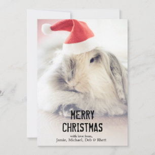 Cartes Pour Fêtes Annuelles Lapin de Noël avec le casquette mignon