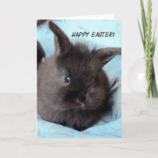 Cartes Pour Fêtes Annuelles Lapin de Pâques (Devant)