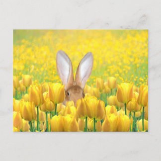 Cartes Pour Fêtes Annuelles Lapin de Pâques