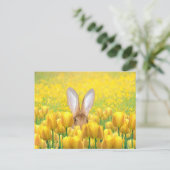 Cartes Pour Fêtes Annuelles Lapin de Pâques (Debout devant)
