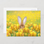 Cartes Pour Fêtes Annuelles Lapin de Pâques (Devant / Derrière)