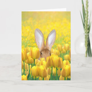 Cartes Pour Fêtes Annuelles Lapin de Pâques