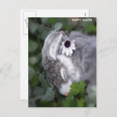 Cartes Pour Fêtes Annuelles Lapin de Pâques (Devant / Derrière)