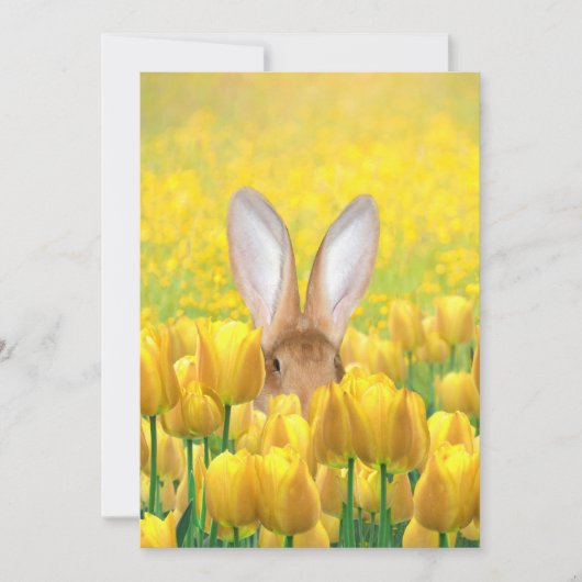 Cartes Pour Fêtes Annuelles Lapin de Pâques dans les tulipes (Devant)