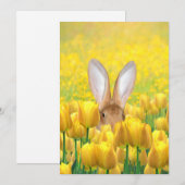 Cartes Pour Fêtes Annuelles Lapin de Pâques dans les tulipes (Devant / Derrière)