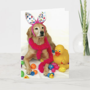 Cartes Pour Fêtes Annuelles Lapin de Pâques de golden retriever