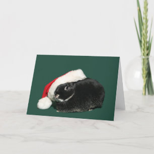 Cartes Pour Fêtes Annuelles Lapin de père Noël