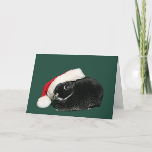 Cartes Pour Fêtes Annuelles Lapin de père Noël (Devant)