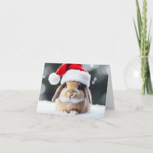 Cartes Pour Fêtes Annuelles Lapin de vacances de Noël