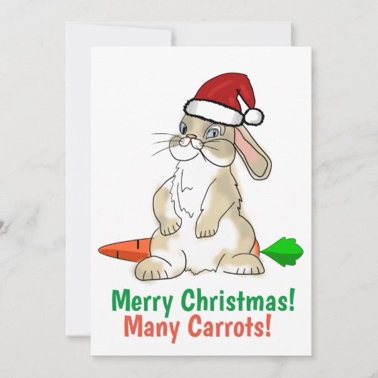 Cartes Pour Fêtes Annuelles Lapin Drôle Joyeux Noël (Devant)