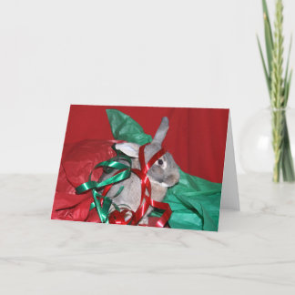 Cartes Pour Fêtes Annuelles Lapin fumiste de Noël