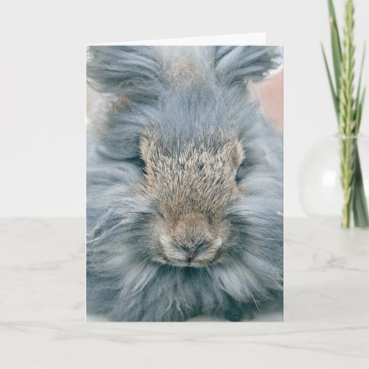 Cartes Pour Fêtes Annuelles Lapin gris de Pâques (Devant)