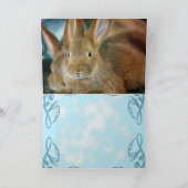 Cartes Pour Fêtes Annuelles Lapin Lapin (Intérieur)