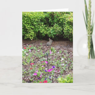 Cartes Pour Fêtes Annuelles Lapin sur la pelouse - verticale
