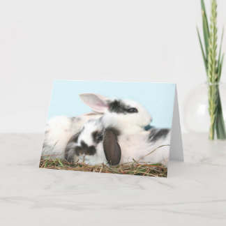 Cartes Pour Fêtes Annuelles lapins de Pâques