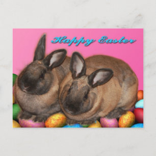 Cartes Pour Fêtes Annuelles Lapins heureux de Pâques Pâques avec des oeufs de
