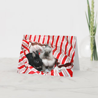 Cartes Pour Fêtes Annuelles Lapins semi-transparents de Noël
