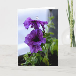 Cartes Pour Fêtes Annuelles Lavender Shadow Fairy