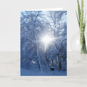 Cartes Pour Fêtes Annuelles Le baiser de l'hiver