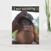 Cartes Pour Fêtes Annuelles Le bébé animal soit mon Valentine (Devant)