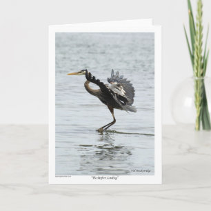 Cartes Pour Fêtes Annuelles Le cadeau parfait Landing Blue Heron