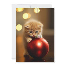 Le chaton de Noël