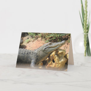 Cartes Pour Fêtes Annuelles Le Coussin du Gator - Alligator Folded Card