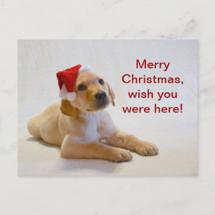 Cartes Pour Fêtes Annuelles Le "cuivre" indique le Joyeux Noël !
