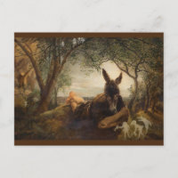Le fond et les fées