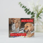 Cartes Pour Fêtes Annuelles Le golden retriever définissent Noël vilain (Debout devant)
