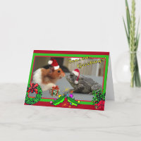 Le hamster et le crapaud célèbrent Noël