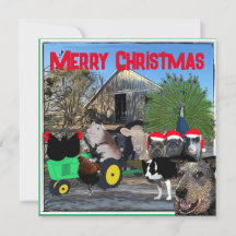 Le jardin de la cuisine