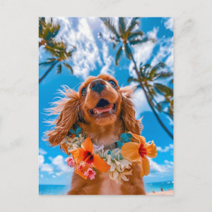 Cartes Pour Fêtes Annuelles Le King Charles Cocker Spaniel prend des selfies à
