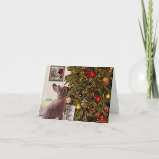 Cartes Pour Fêtes Annuelles Le lapin de Noël, qui pense mal