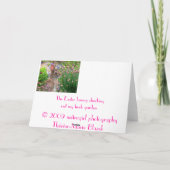 Cartes Pour Fêtes Annuelles le lapin de Pâques (Dos)