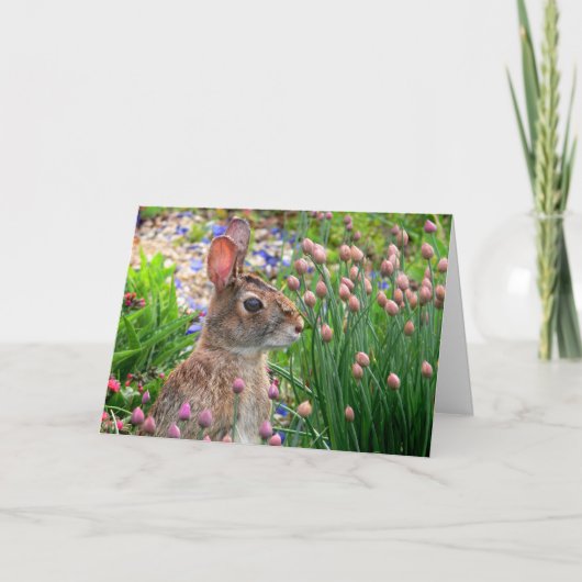 Cartes Pour Fêtes Annuelles le lapin de Pâques (Devant)