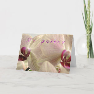 Cartes Pour Fêtes Annuelles "Le Quiero"